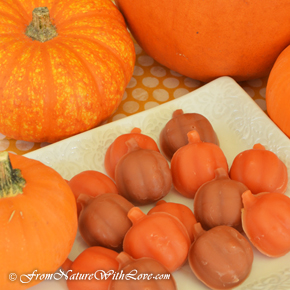 Pumpkin Spice Wax Tarts