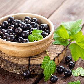 Blackcurrant Fragrance Oil