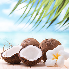 Coconut Fragrance Oil