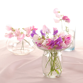 Garden Sweet Pea Fragrance Oil for Cold Air Diffusers