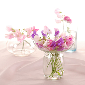 Sweet Pea Fragrance Oil