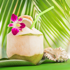 Thai Coconut Fragrance Oil