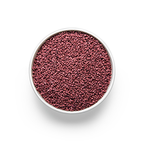 Black Raspberry Fruit Seeds