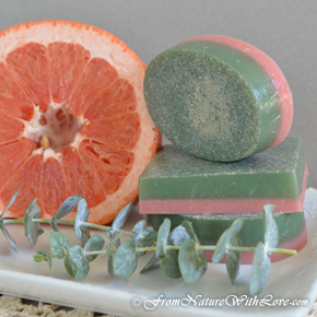 Grapefruit Eucalyptus Soap Bars