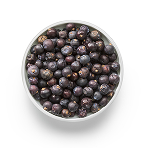 Juniper Berries