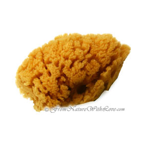 Natural Bleached Sea Sponge, 4 inch