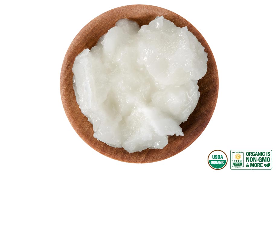 Organic Virgin Coconut Oil surrounded by fresh coconuts