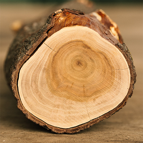 Indian Sandalwood Essential Oil and Powder