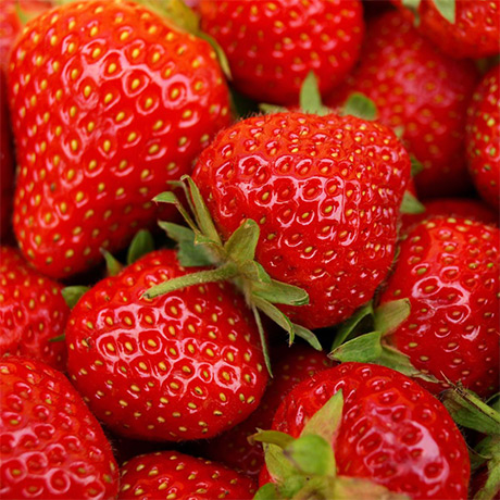 Strawberry Seed Oil