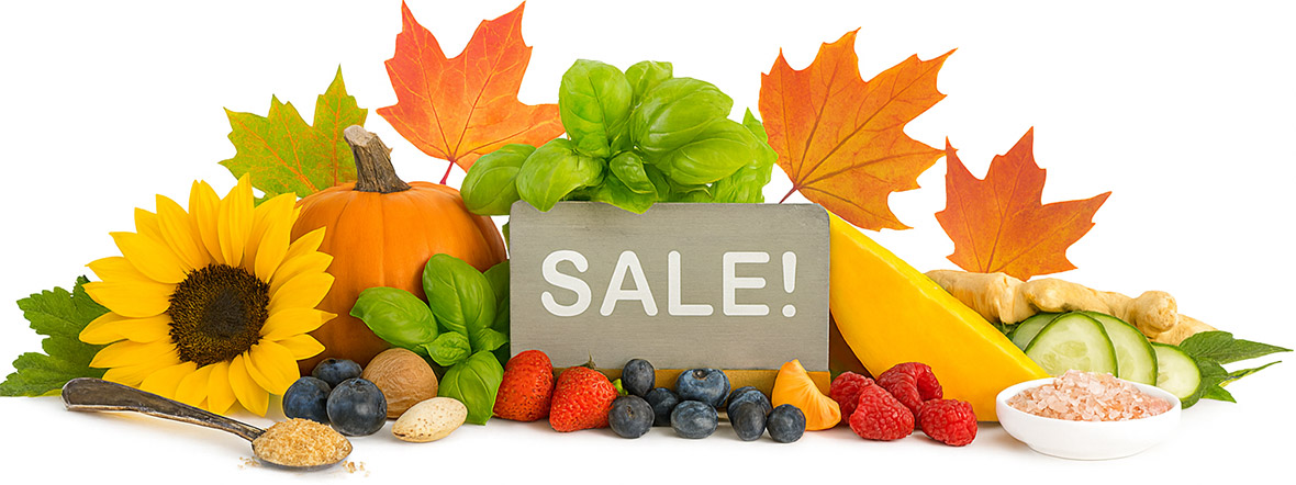 Seasonal Sale on Certified Organic and Conventional Ingredients for Personal Care