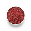 Cranberry Fruit Seeds