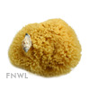 Atlantic Silk Sponge, 3 inch